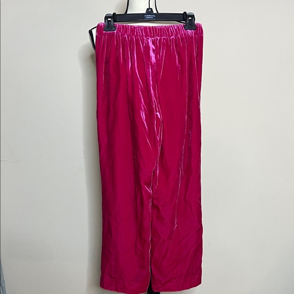💘💓👛NWT J. Crew Bright Pink Velvet Pants - Picture 8 of 11